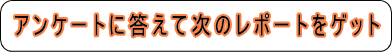 アンケートに答えて次のレポートをゲット